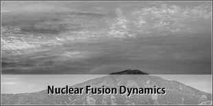 Nuclear Fusion Dynamics