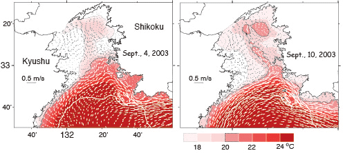 Ocean Dynamics