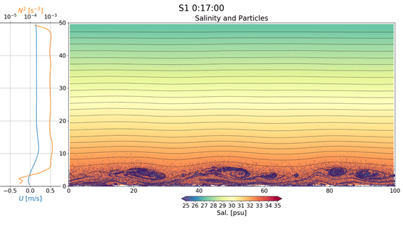 Ocean Circulation Dynamics