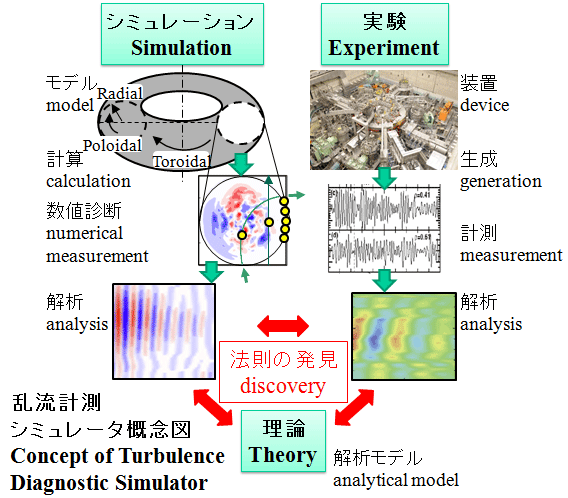 Nuclear Fusion Simulation