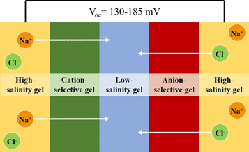 Bioenergy Engineering