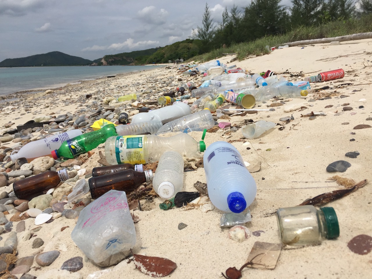 海洋プラスチック研究センター