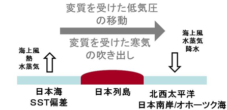 大気力学分野